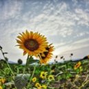 분도농장 이미지