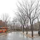 계명산자연휴양림 야영장 이미지