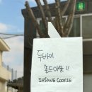 광산구-163 | [두쫀쿠리뷰 5탄] 광주 동명동 두쫀쿠 4곳 광탈후기..웨이팅 나오는 시간 꿀팁 정리