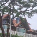 보성녹차리조트 이미지