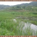 한평소류지 이미지