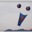 대기카포스 이미지