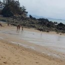 무지개펜션 이미지