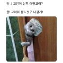 (주)힐링 이미지
