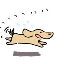 라피에스타 이미지