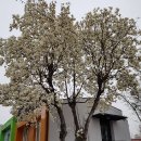 위드유호텔앤게스트하우스 이미지