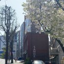 [연남] 산옥커피로스터스 후기 / 프렌치토스트가 있은 분좋카