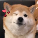 프라임핏(식사점) 이미지