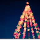 박플란트치과의원 이미지