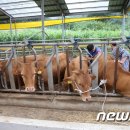 영농조합법인  우보 이미지