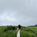 제주스냅 드레스 추천, 제주유일 피팅 후기(내돈)
