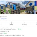 블루로즈 이미지