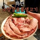 [하단 소양강숯불생고기] 통갈매기살이 있는 하단 동아대 근처 고깃집