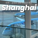 대한 | 인천 상하이 항공권 가격 할인 대한항공 후기 상해여행