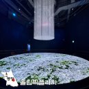 외교목장 | 평창 올림픽플라자 가족여행 실내 가볼만한곳 추천 입장료 할인