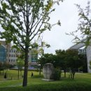 평화 | 공연관람 서울평화음악회 후기