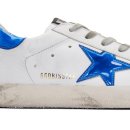 블루스타 이미지