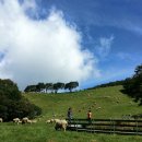 흔들목장 이미지