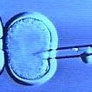 (주)파노스 이미지