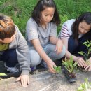 초평초등학교 이미지