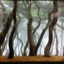 팔탄면사무소 이미지