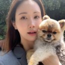 인생 더 예쁜날 이미지