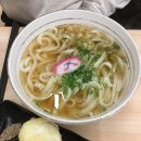 [서울 맛집] 가미우동 후기｜홍대역 근처 정통 우동 맛집