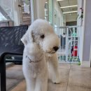 오미네커피 이미지