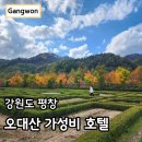 진고개가든 | 강원도 평창 숙소 켄싱턴 호텔 디럭스룸 조식 사우나 후기