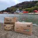 두나펫 코리아 이미지