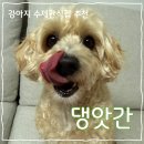 댕앗간 | [내돈내산] 댕앗간 수제간식 후기!! - 오리치즈말이, 오리근위져키