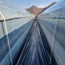 봄맞이 표고농장 이미지