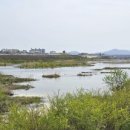 북영천역 옹벽 벽화 이미지