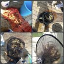 하늘낚시공원낚시터 이미지