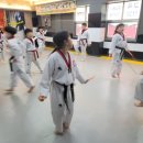 최강웅비태권도 이미지