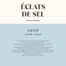 소금한조각