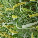 미국은 한국과 정반대..민주당이 부자고 공화당이 거지... 이미지