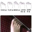 팜어스약국 | 블챌) 더워서죽어버린사람의일상