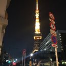 상상블루스트림 | 해외여행기 일정편:)) 여자둘의 2박3일 도쿄자유여행 일정 전격공개!! *익스트림한일정주의 ㅋㅋㅋ