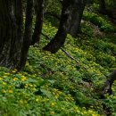 화원관광지 이미지