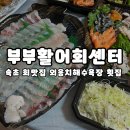 활어회포장 | 속초 회맛집 외옹치 해수욕장 횟집 부부활어회센터 포장 후기