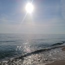 망상리조트(한옥) 이미지