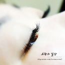 산본 속눈썹 추천 디디래쉬에서 산본속눈썹연장 오픈이벤트중 ! 플랫모 JC컬 10mm 너무이뻐요