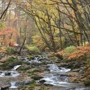 삼정 야영장 이미지