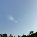 연화도감 이미지