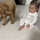 네네치킨 선유주공점 | 2025. 12월의 어느 하루