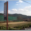 풍경장어 이미지