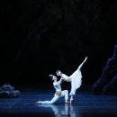 영상으로 만나는 발레<라 바야데르> 이미지