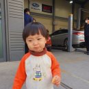 비비게러지 이미지