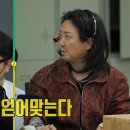 김고은에서 린쟈오밍으로 이미지